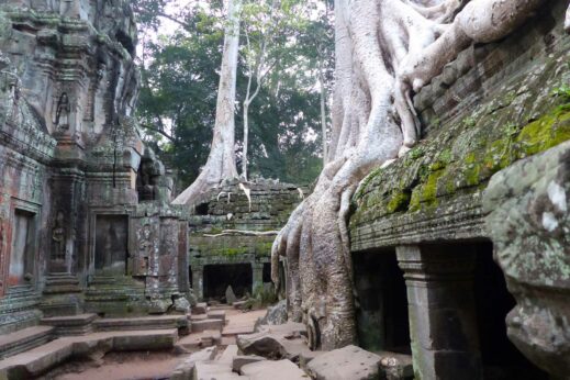 Jungle temples