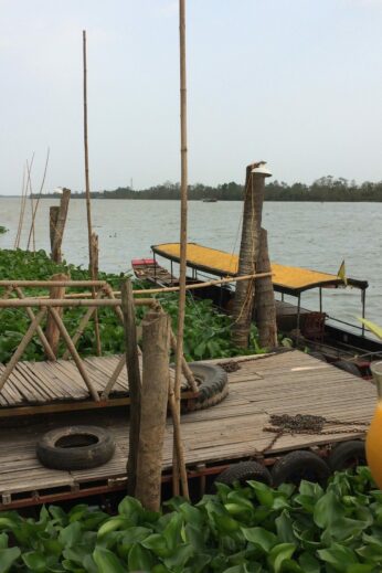 A riverside mango shake in the Mekong Delta.