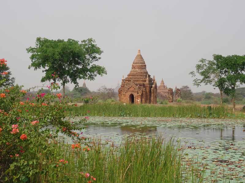 Even arid Bagan can be lush during the green season
