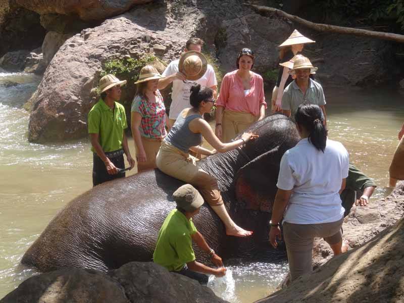 InsideAsia customers at Green Hill Valley Elephant Camp