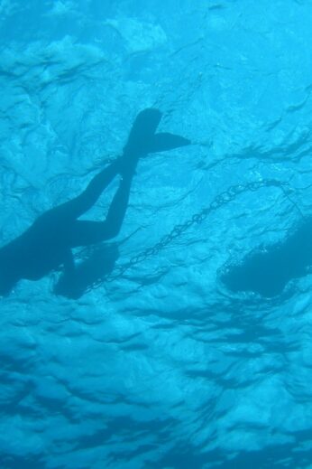 Divers silhouetted in the water.