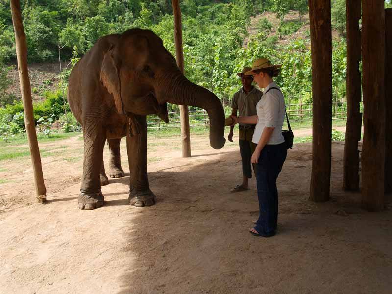 InsideAsia's Charlotte meeting one of Green Hill Valley's seven retired elephants