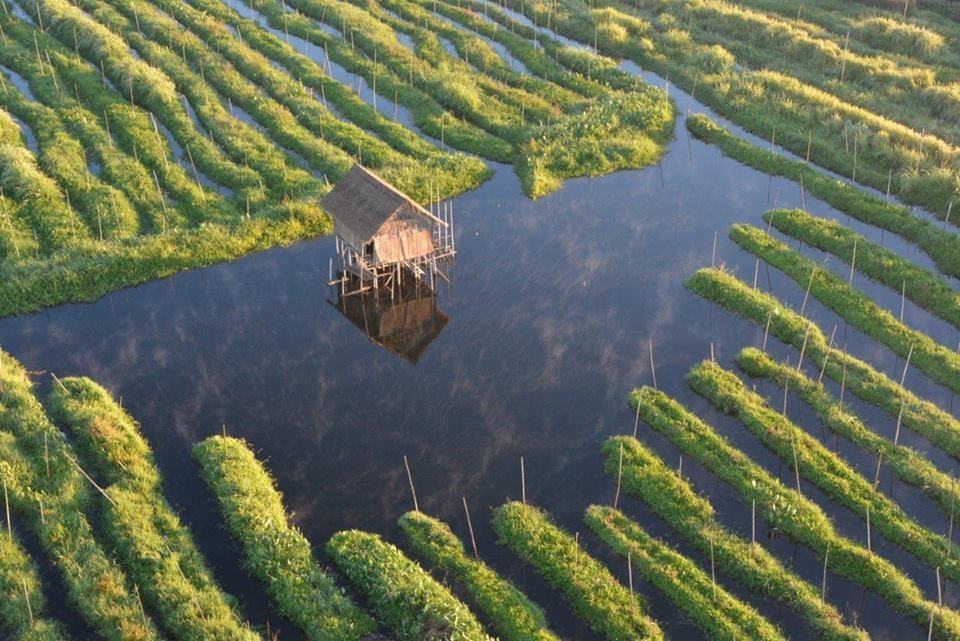 Floating farm