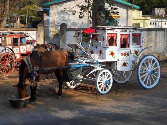 Horse & cart in Pyin Oo Lwin