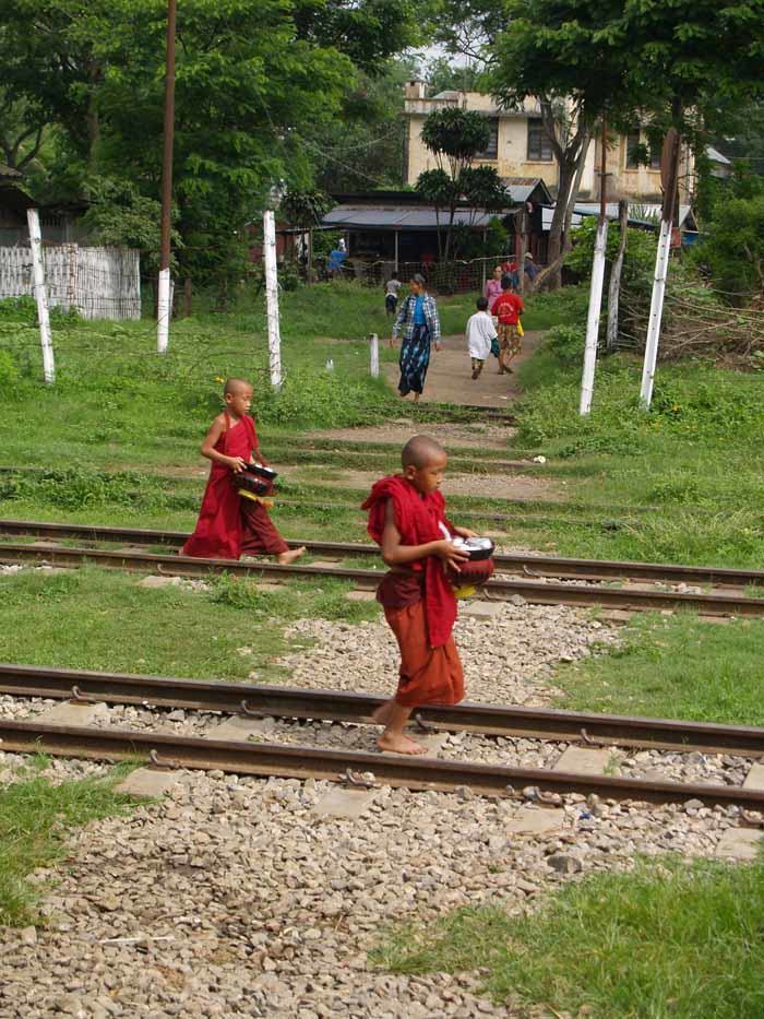 Little monklets crossing the tracks in Pyin Oo Lwin
