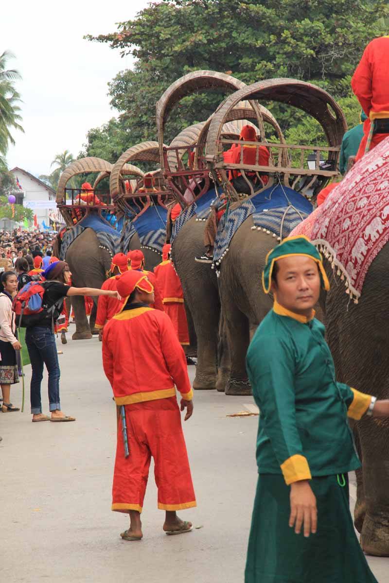 Elephants taking part in the parade