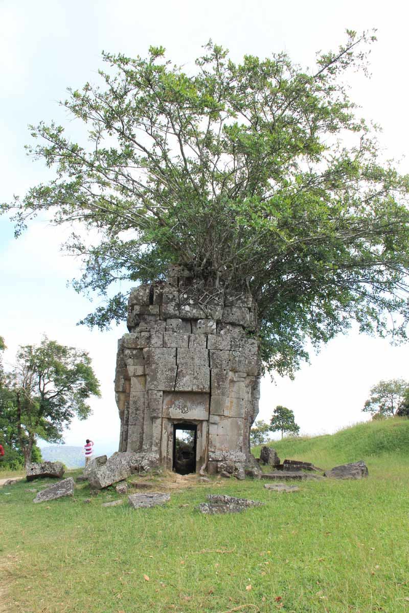 A tree grows out of one of Preah Vihear's structures
