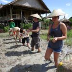 Living Land Farm - Planting Rice