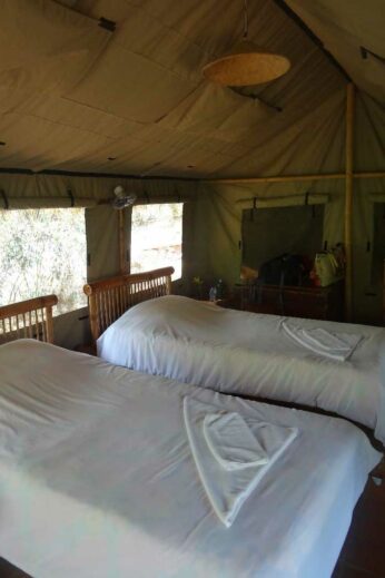 Inside the safari tents