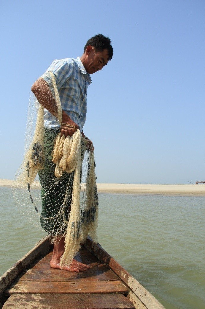 Fisherman preparing to cast his net, Hsithe, Burma (Myanmar)