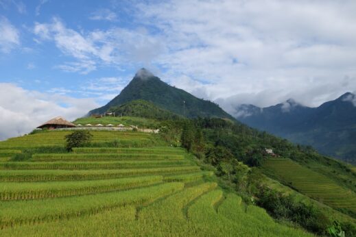 The paddy fields in Sapa in Vietnam