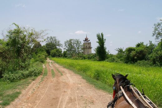 Horse and Cart in Monya Burma (Myanmar)
