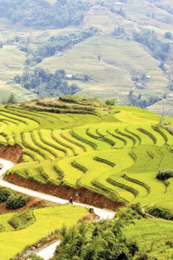 Rice paddies in Sapa