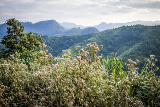 Hiking in Laos: Nam Et-Phou Louey National Protected Area