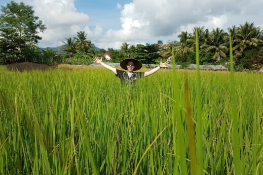 Dylan rice planting in Laos
