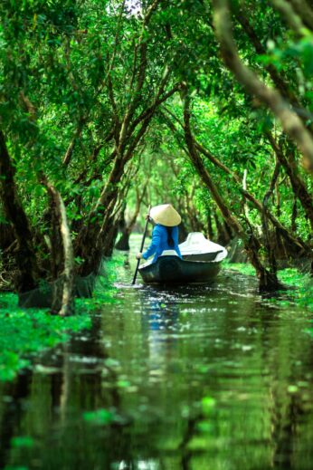 tra su forest vietnam boat on water